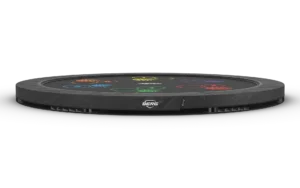 BERG SPORTS Elite InGround 430 Grey Levels